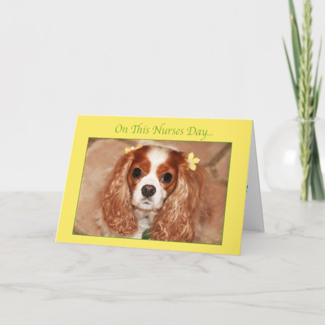 Carte Joyeuse Fête des Infirmières avec un doux Cavalier (Devant)