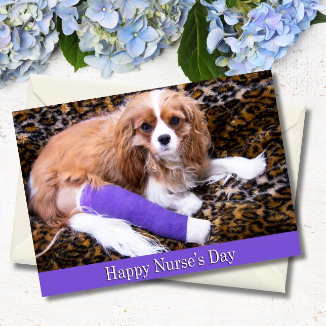 Carte Joyeuse Fête des Infirmières Cavalier King Charles (Créateur téléchargé)