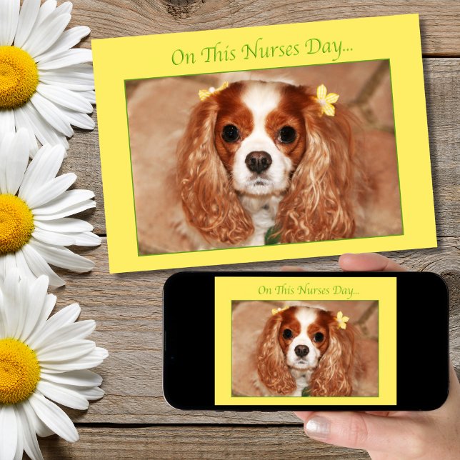 Carte Joyeuse Fête des Infirmières Cavalier King Charles (Créateur téléchargé)
