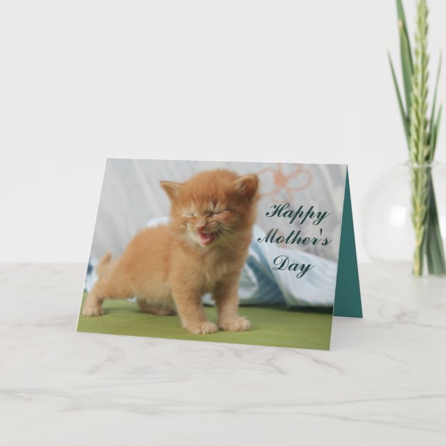 Carte Joyeuse Fête des Mères Kitten (Devant)