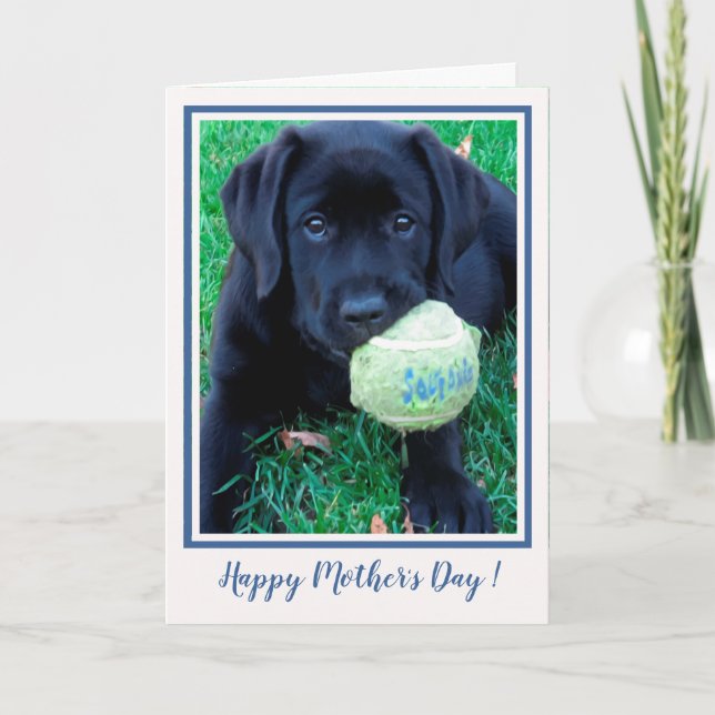 Carte Joyeuse fête des mères Marionnette Black Labrador  (Devant)