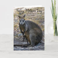 Joyeuse Fête des Mères Wallaby Bébé Joey