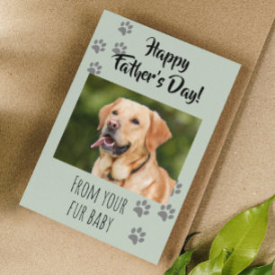 Carte Joyeuse fête des pères Photo Chien Chat Animal de