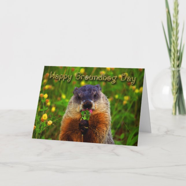 Carte Joyeuse Journée de la marmotte Mangeant la fleur (Devant)