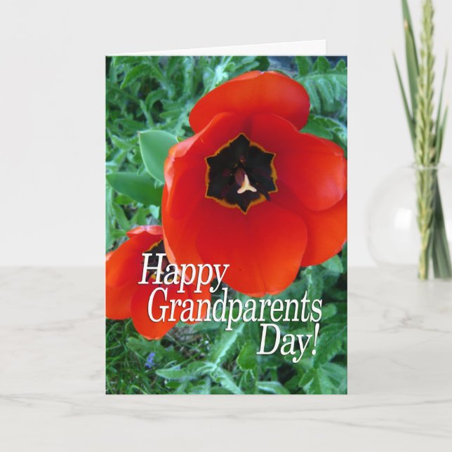 Carte Joyeuse Journée des grands-parents - Fleurs de pav (Devant)