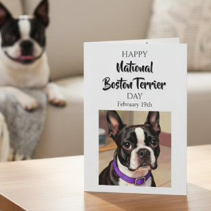 Carte Joyeuse Journée nationale du Boston Terrier 19 f