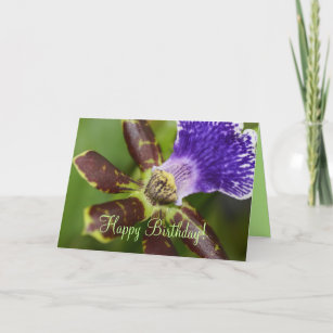 Carte Joyeuse orchidée d'anniversaire