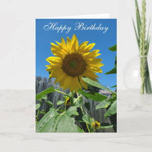 Carte Joyeuse photo de tournesol d'anniversaire