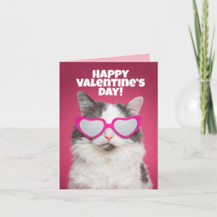 Carte Joyeuse Saint-Valentin à tous Humour de chat drôle
