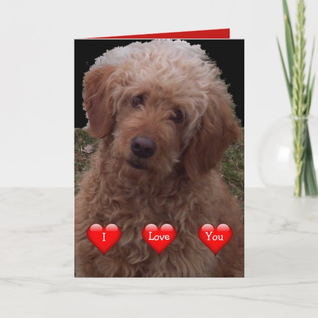 Carte Joyeuse Saint-Valentin - Chien le plus mignon du m (Devant)