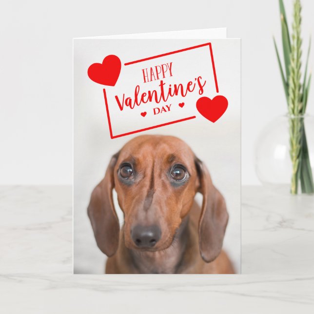 Carte Joyeuse Saint-Valentin | Douce Jeune Chienne Dachs (Devant)