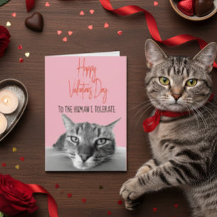 Carte Joyeuse Saint-Valentin du chat à l'humain  Drôle