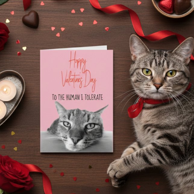 Carte Joyeuse Saint-Valentin du chat à l'humain  Drôle (Créateur téléchargé)