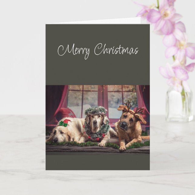 Carte Joyeuse saison de Noël pour être de joyeux chiens (Orchidée)