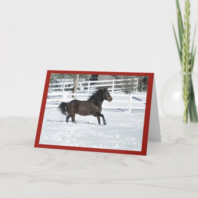 Carte Joyeuses Fêtes Mustang Horse (Devant)
