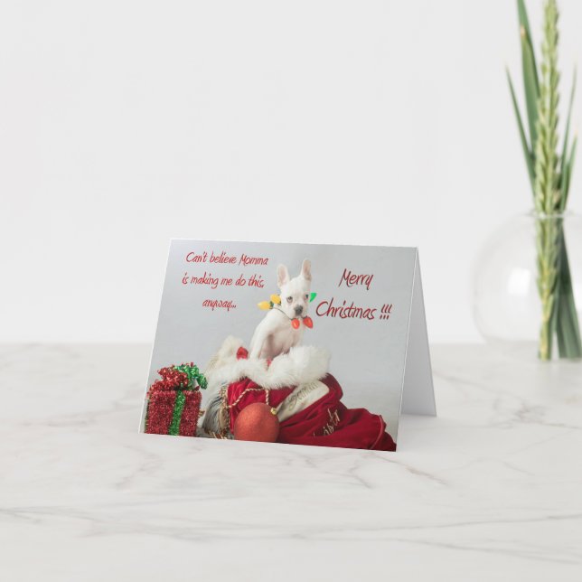 Carte Joyeuses lumières de Noël Père Noël French Buldog  (Devant)