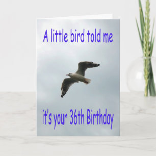 Carte Joyeux 36e anniversaire Volant oiseau de mouette