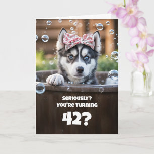 Carte Joyeux 42e anniversaire Chien Husky mignon dans un