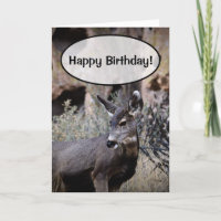 Joyeux anniversaire !