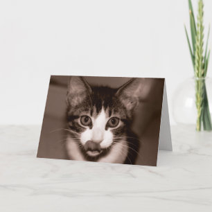 Carte Joyeux anniversaire !