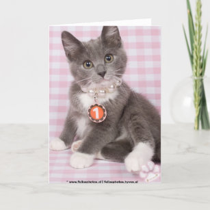 Invitations Faire Part Cartes Anniversaire Chaton Zazzle Fr