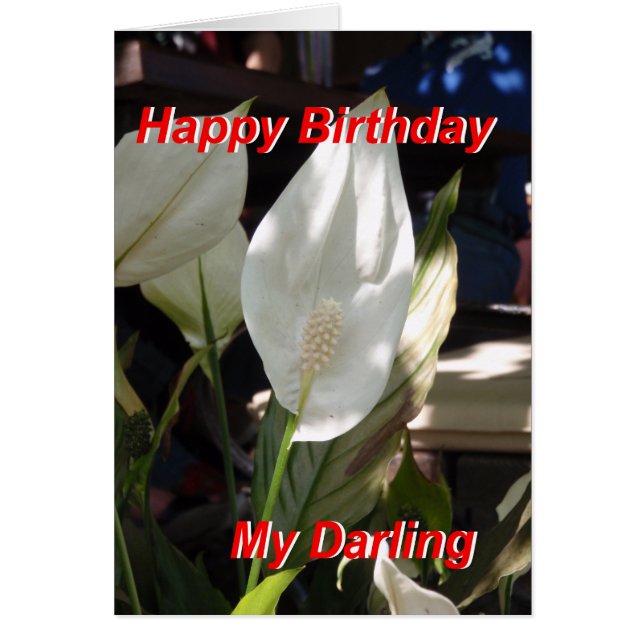 Carte Joyeux Anniversaire (Devant)