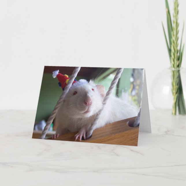 Carte Joyeux anniversaire (Devant)