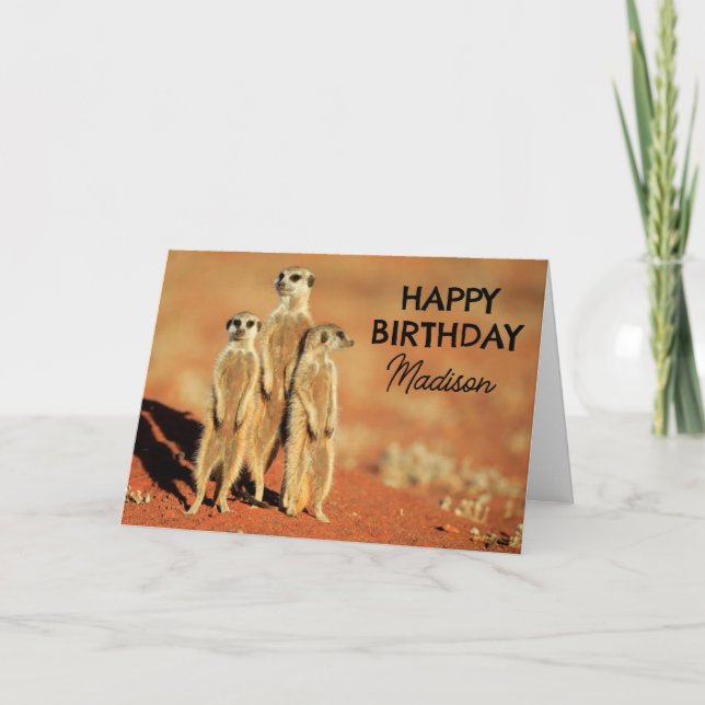 Carte Joyeux Anniversaire | 3 Suricates (Devant)