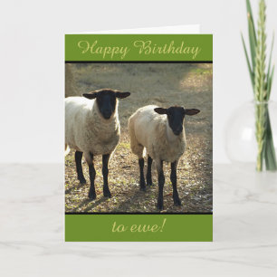 Carte Joyeux Anniversaire à Toi, Brebis, de la Part du T
