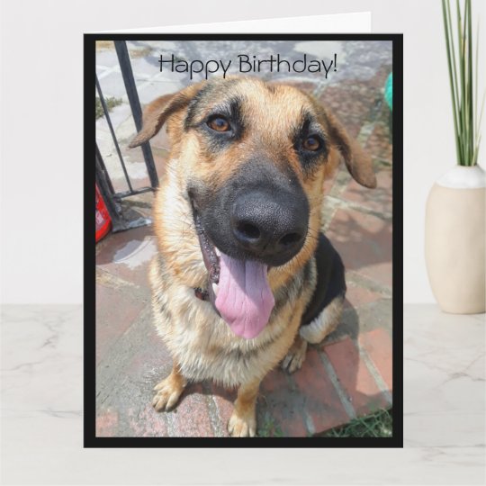 Carte Joyeux Anniversaire A Un Jeune Eleve Berger Allema Zazzle Fr Carte Joyeux Anniversaire A Un Jeune Eleve Berger Allema Zazzle Fr