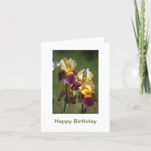 Carte Joyeux anniversaire à une belle dame