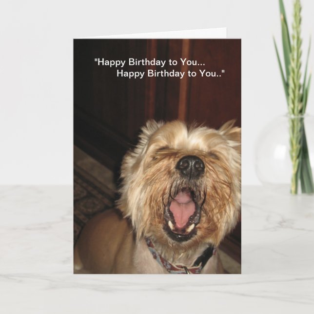 Carte "Joyeux anniversaire à vous" - Chanteur de chien (Devant)