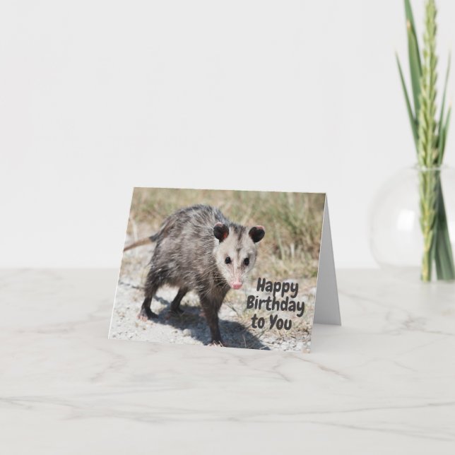 Carte Joyeux anniversaire à vous mignonne Opossum Walkin (Devant)