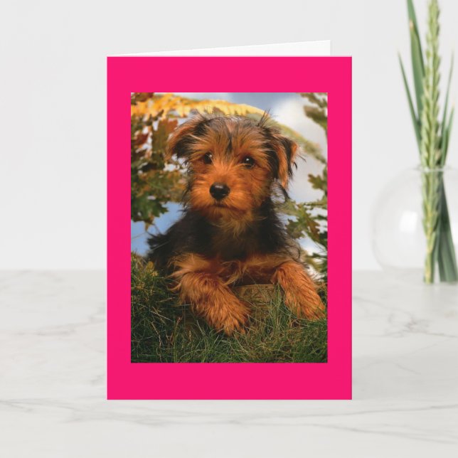 Carte Joyeux Anniversaire Airedale Terrier Chien Chien P (Devant)
