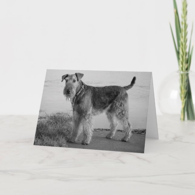 Carte Joyeux anniversaire Airedale Terrier Puppy Dog Car (Devant)