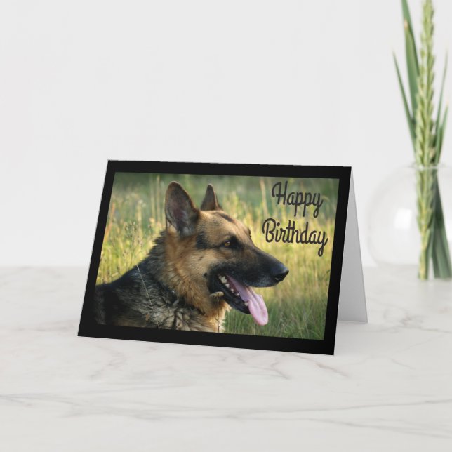 Carte Joyeux Anniversaire Allemand Berger Chien Chien Pu (Devant)