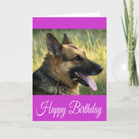 Joyeux Anniversaire Allemand Berger Chien Chien Pu