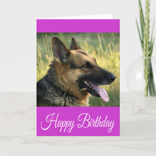 Carte Joyeux Anniversaire Allemand Berger Chien Chien Pu