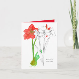 Carte Joyeux anniversaire Amaryllis Langue des Fleurs