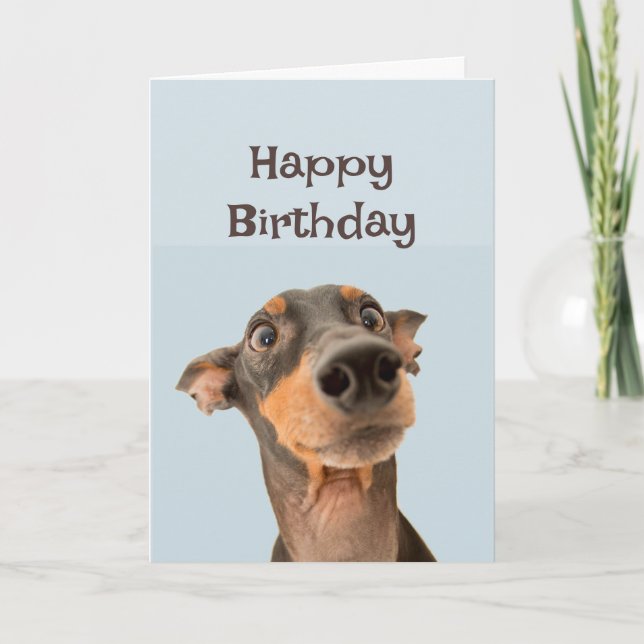 Carte Joyeux Anniversaire Ami Drôle Chien Grumpy Vieux H (Devant)