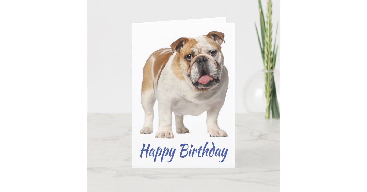 Carte Joyeux Anniversaire Anglais Bulldog Puppy Dog Zazzle Fr