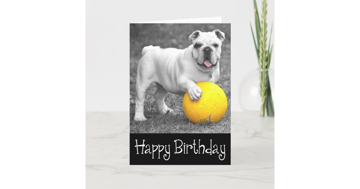 Carte Joyeux Anniversaire Anglais Bulldog Puppy Dog Zazzle Fr