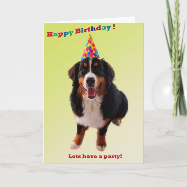 Carte Joyeux anniversaire avec bernèse (Devant)