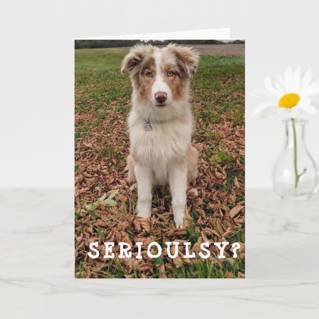 CARTE JOYEUX ANNIVERSAIRE *AVRIL* D'UNE AUSSIE TRÈS INTE (Petite plante)