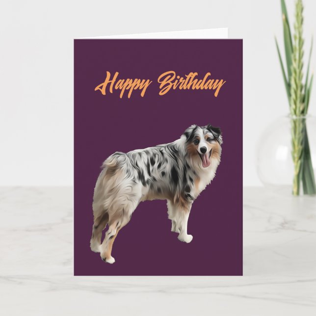 Carte Joyeux anniversaire beau berger australien (Devant)