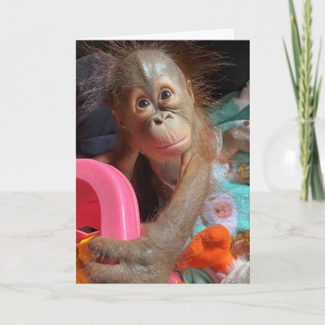 Carte Joyeux Anniversaire Bébé mignon Orangutan (Devant)
