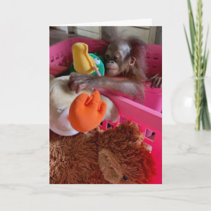 Carte Joyeux anniversaire bébé Orangutan Grabs Toys