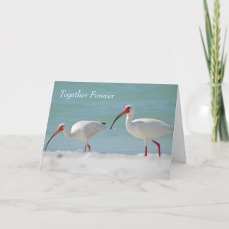 Carte Joyeux Anniversaire Bel Oiseau