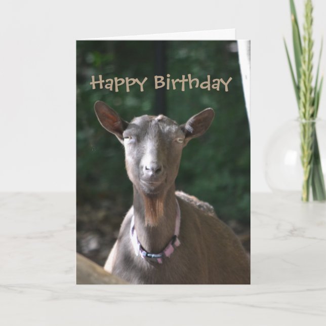 Carte Joyeux anniversaire belle vieille chèvre (Devant)