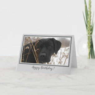 Carte Joyeux Anniversaire Black Lab - Chien de chasse de